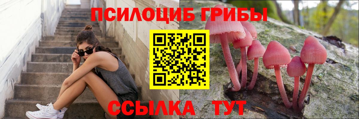где купить наркоту  Вход с VPN  Уварово  Галлюциногенные грибы MAGIC MUSHROOMS 